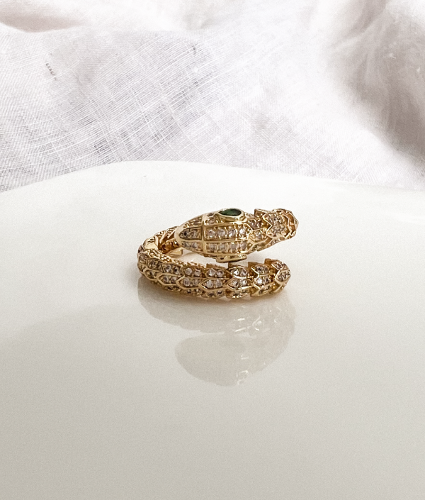 anillo en forma de serpiente